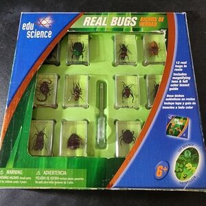 2008 Edu Science REAL BUGS in Resin Insect Toys r Us